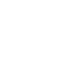brain